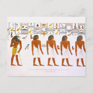 Carte Postale Murals from the Tombs of the Kings at Thebes
