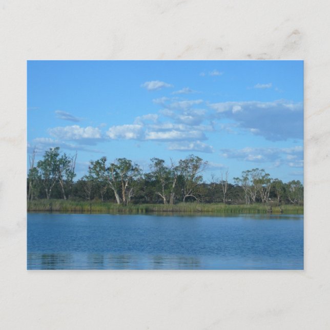 Carte postale Murray River SA (Devant)