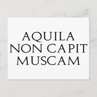 Carte Postale Muscam Aquila Non Captive