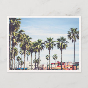 Carte Postale Muscle Beach Venice Beach Californie Palmier
