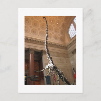 Carte Postale Musée américain d'histoire naturelle, New York