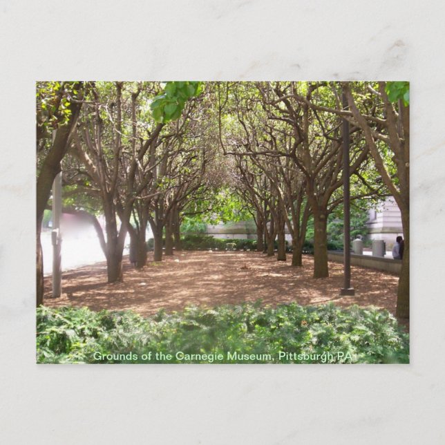 Carte Postale Musée de Carnegie (Devant)