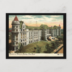Carte Postale Musée d'histoire naturelle, New York City 1910 Vin