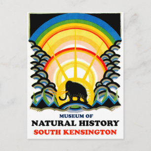 Carte Postale Musée d'Histoire Naturelle, South Kensington