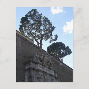 Carte Postale musei vatacani