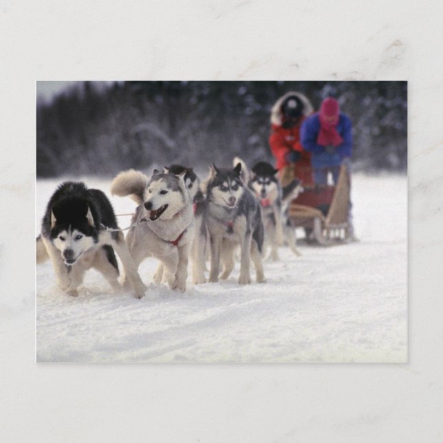 Carte Postale Mush (Devant)