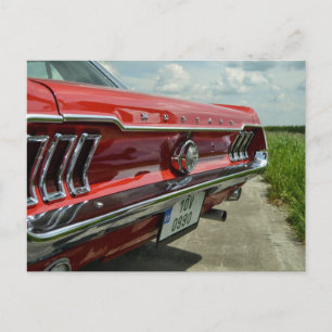 Carte postale Mustang