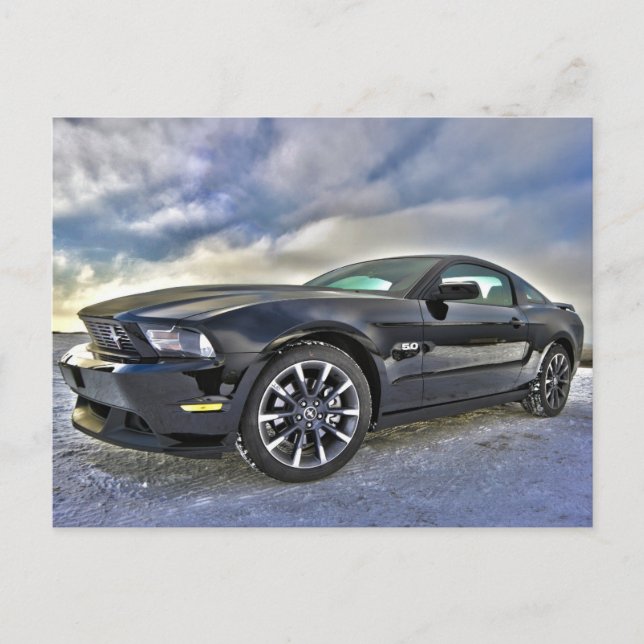 Carte Postale Mustang postcard (Devant)