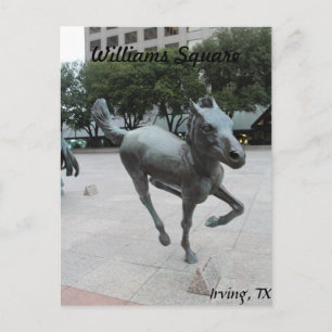 Carte Postale Mustangs de Las Colinas # 11