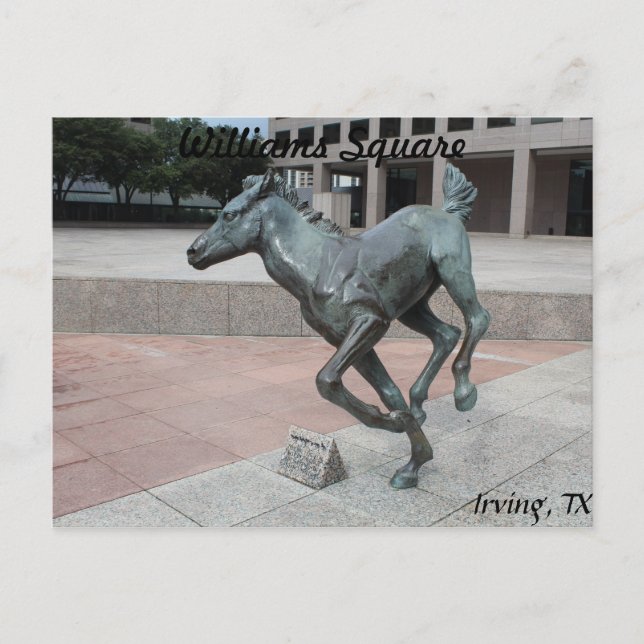 Carte Postale Mustangs de Las Colinas # 13 (Devant)