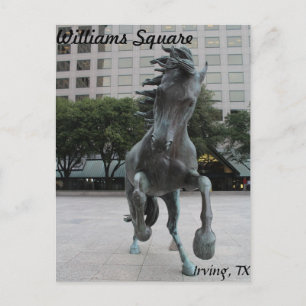 Carte Postale Mustangs de Las Colinas # 25