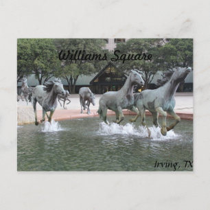Carte Postale Mustangs de Las Colinas # 27