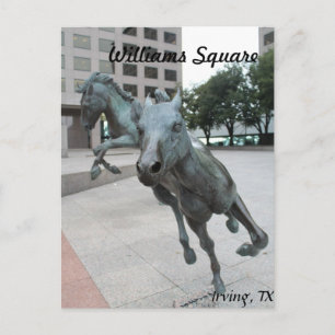 Carte Postale Mustangs de Las Colinas # 29