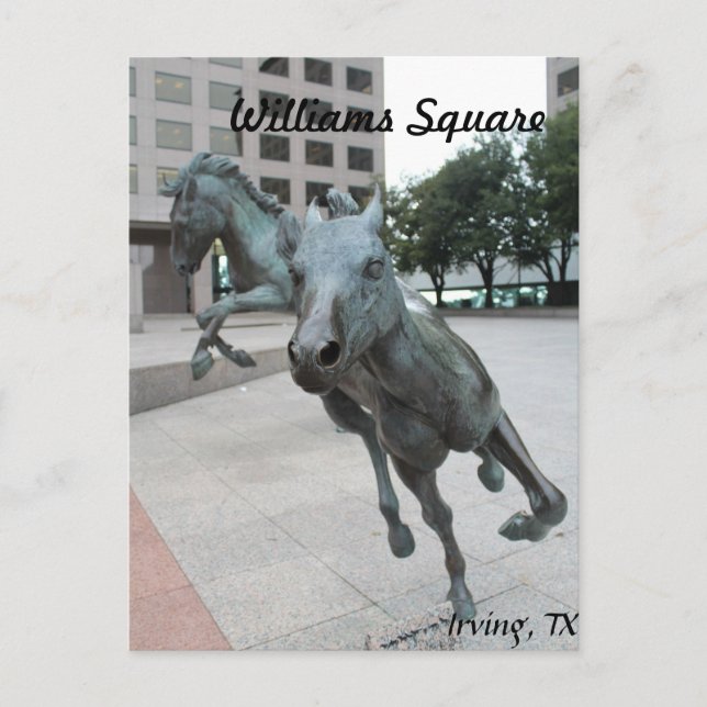 Carte Postale Mustangs de Las Colinas # 29 (Devant)