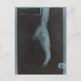 CARTE POSTALE MY22BULLET