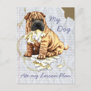 Carte Postale My Chinese Shar-Pei Mange Mon Plan De Leçon