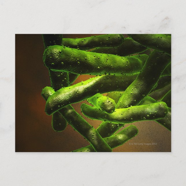 Carte Postale Mycobacterium Tuberculose (Devant)