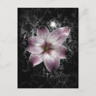 Carte Postale Mystère glorieux