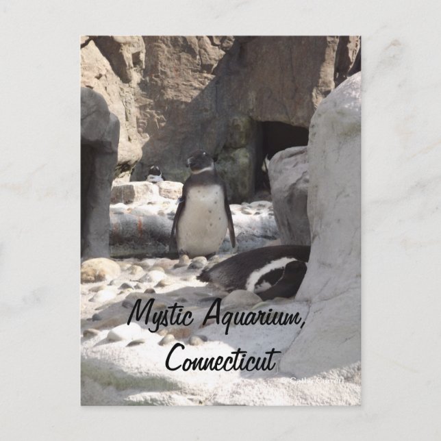 Carte postale Mystic (Devant)