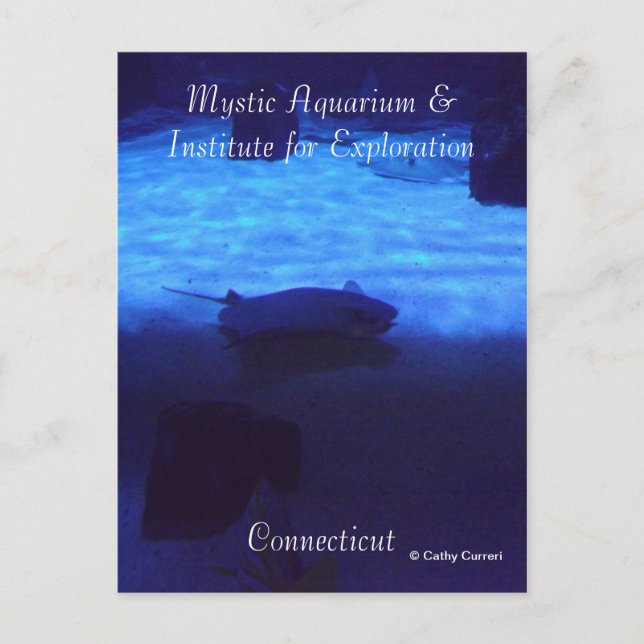 Carte postale Mystic (Devant)