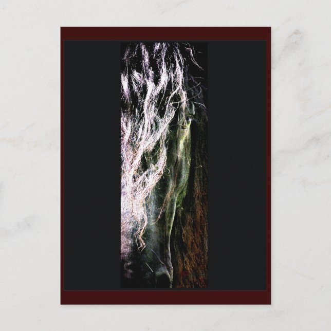 Carte postale Mystical Horse (Devant)