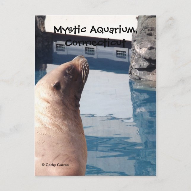 Carte postale mystique (Devant)