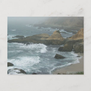 CARTE POSTALE N° 2 DE LA BAIE DE BODEGA