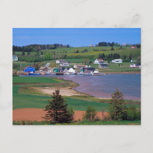 Carte Postale N.A. Canada, Île-du-Prince-Édouard. Les bateaux so (Devant)