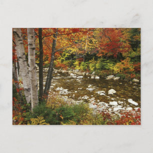 Carte Postale N.A., États-Unis, New Hampshire, White Mountains,
