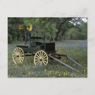 Carte Postale N.A., États-Unis, Texas, Devine, Vieux chariot et