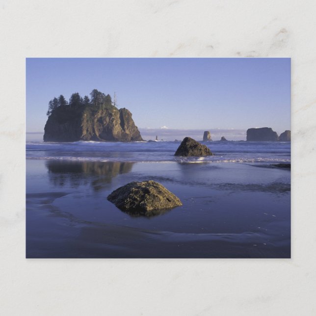 Carte Postale N.A., États-Unis, Washington, Parc national olympi (Devant)