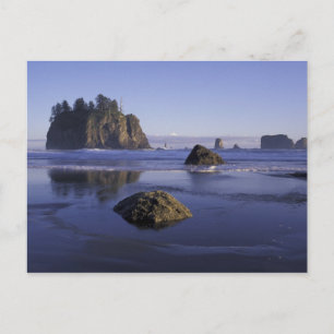 Carte Postale N.A., États-Unis, Washington, Parc national olympi