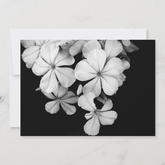 carte postale n&b (Devant)