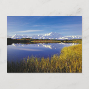 Carte Postale NA, États-Unis, Alaska, Parc national Denali Mt. M