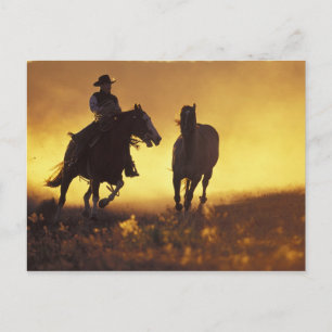 Carte Postale NA, États-Unis, Oregon, Seneca, Ponderosa Ranch, C