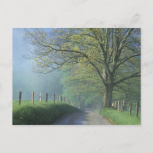 Carte Postale NA, États-Unis, Tennessee, Cades Cove, Great Smoky