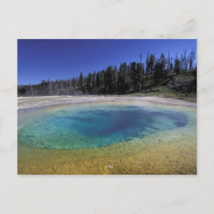 Carte Postale NA, États-Unis, Wyoming, Parc national de Yellowst