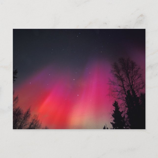 Carte Postale NA, USA, Alaska, Fairbanks, Rideaux roses et (Devant)