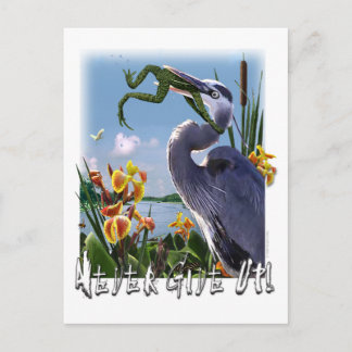 Carte Postale N'Abandonne Jamais !