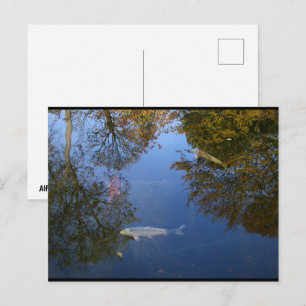 Carte Postale Nager dans le ciel