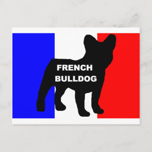 Carte Postale name silo sur drapeau France.png