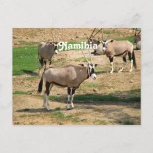 Carte Postale Namibie