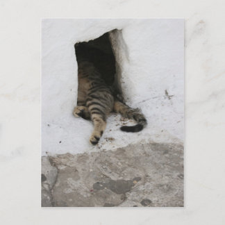 Carte Postale Nap