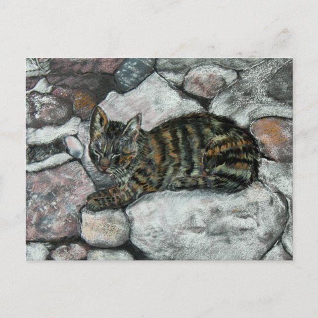 Carte Postale Nap de chat (Devant)