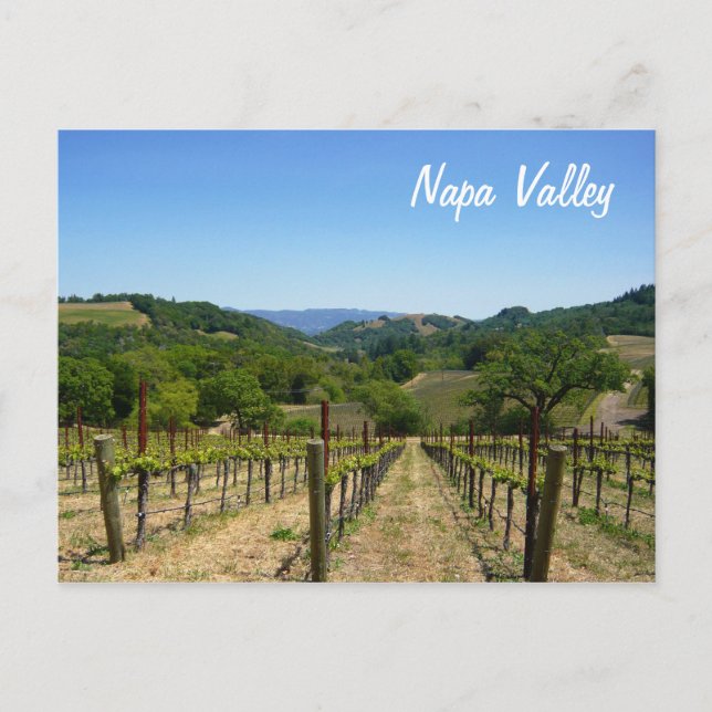 Carte Postale Napa Valley (Devant)