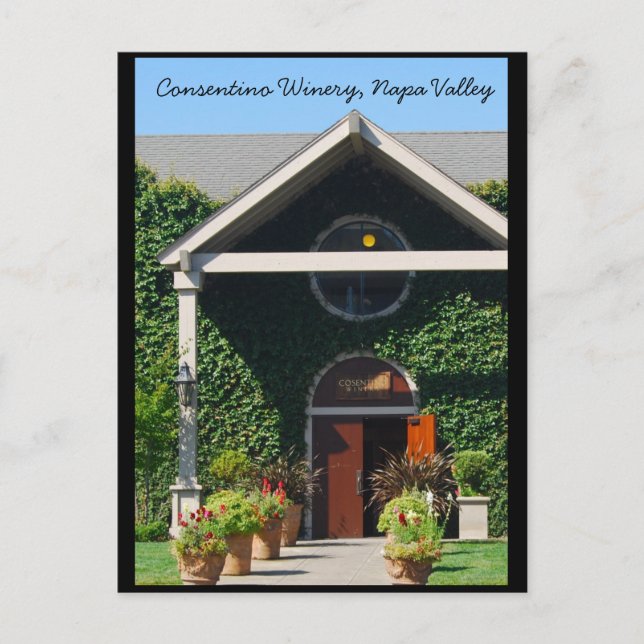 Carte Postale Napa Valley California Winery (Devant)