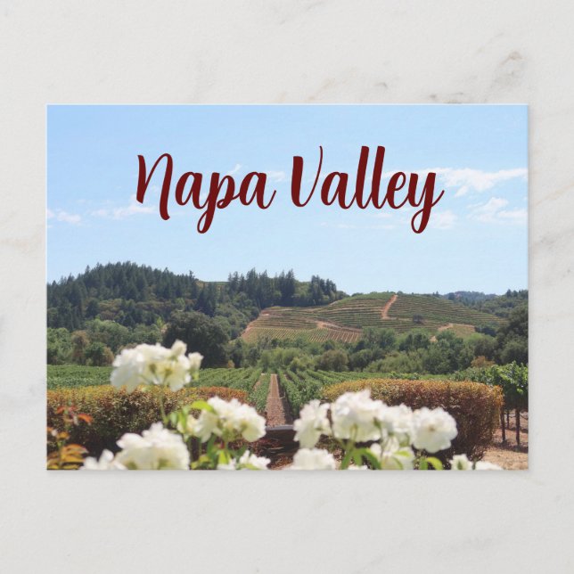 Carte Postale Napa Valley, Californie Vignobles et fleurs (Devant)