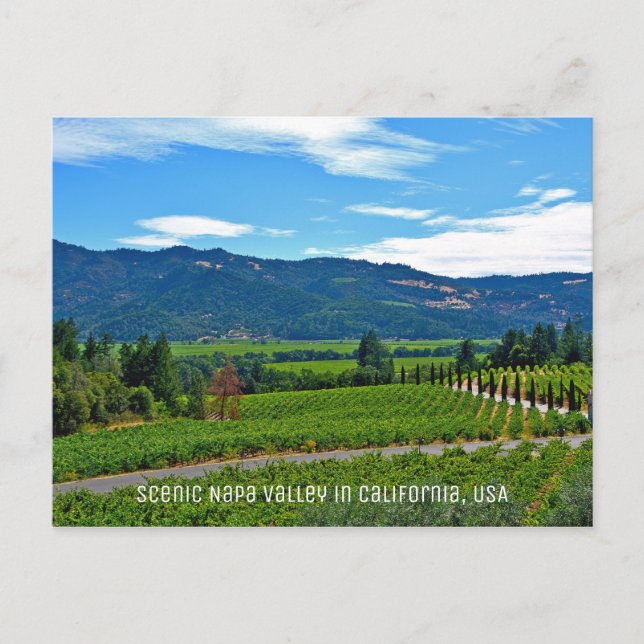 Carte Postale Napa Valley pittoresque en Californie (Devant)