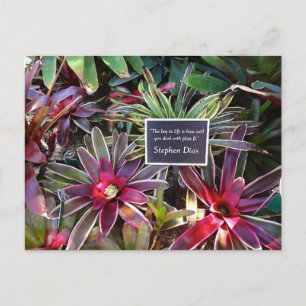 Carte Postale Naples Florida Botanical Garden Stephen Dias Citat