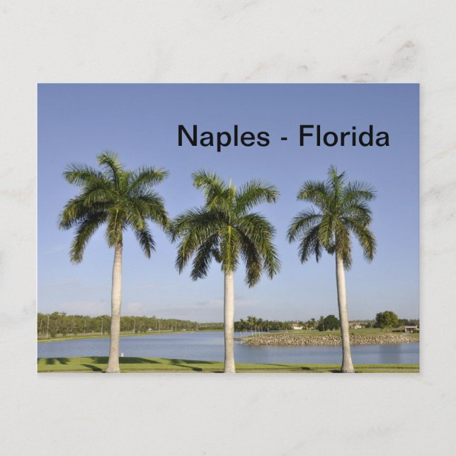 Carte Postale Naples Floride (Devant)